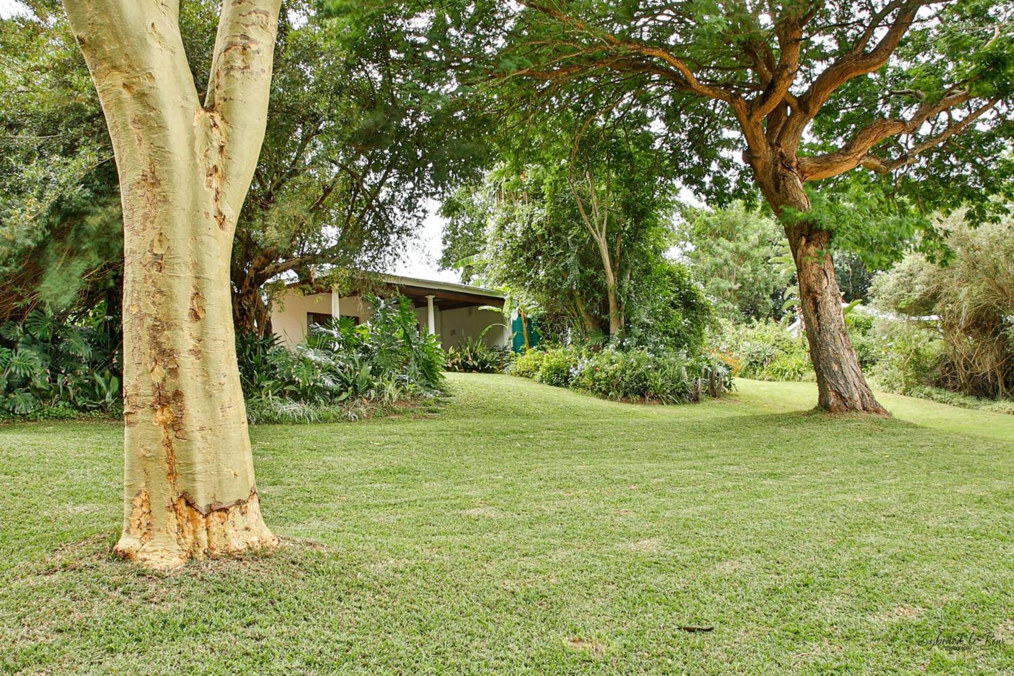 Ndlovu Addo River Lodge Kirkwood Kültér fotó
